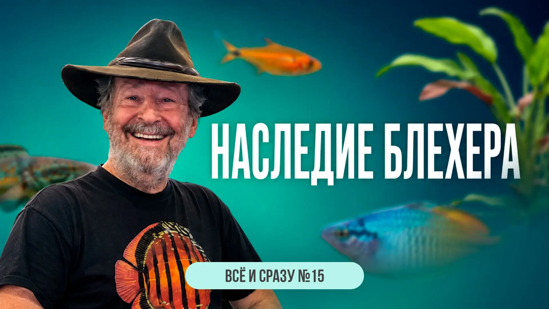 Сегодня у нас выпуск №15 рубрики «Всё и сразу». Как обычно, будут и аквариумные рыбки, и растения, н