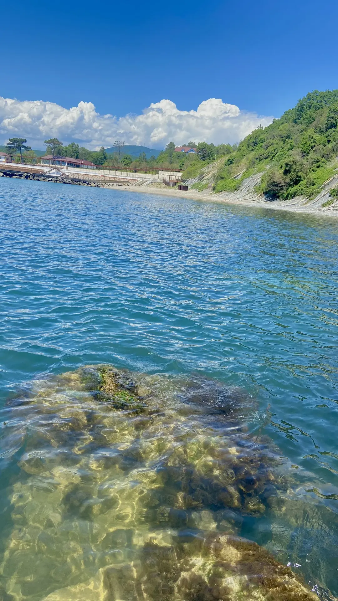 Уютный пляж встречает гостей чистым берегом и ласковым морем☀️🌊

Отличное место для семейного отдых