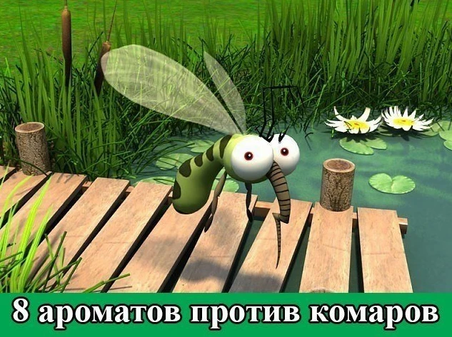 8 убийственных ароматов против комаров

1. Сто граммов камфары или валерьянки, испаряемые над горелк