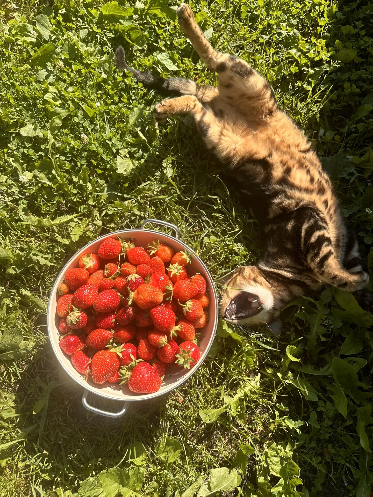 Привет! 👋 
Меня зовут Марина 🌿

https://max.ru/join/Gd1JvtQKfJcVrfppRSYkD2Tvm_7339eUF7DYJhdd-Vw

Я