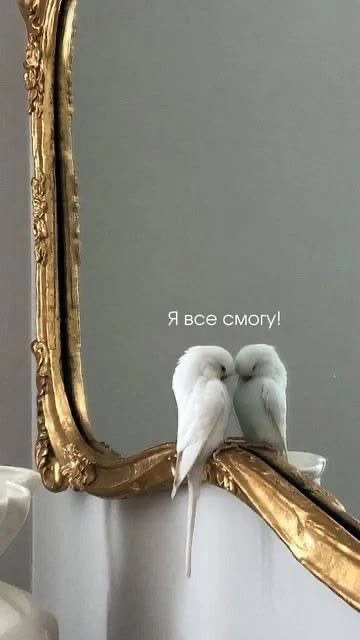 Чтож, встречаем новую неделю. Понедельник на дворе. Погнали, мои хорошие, всё сможем, со всем справи