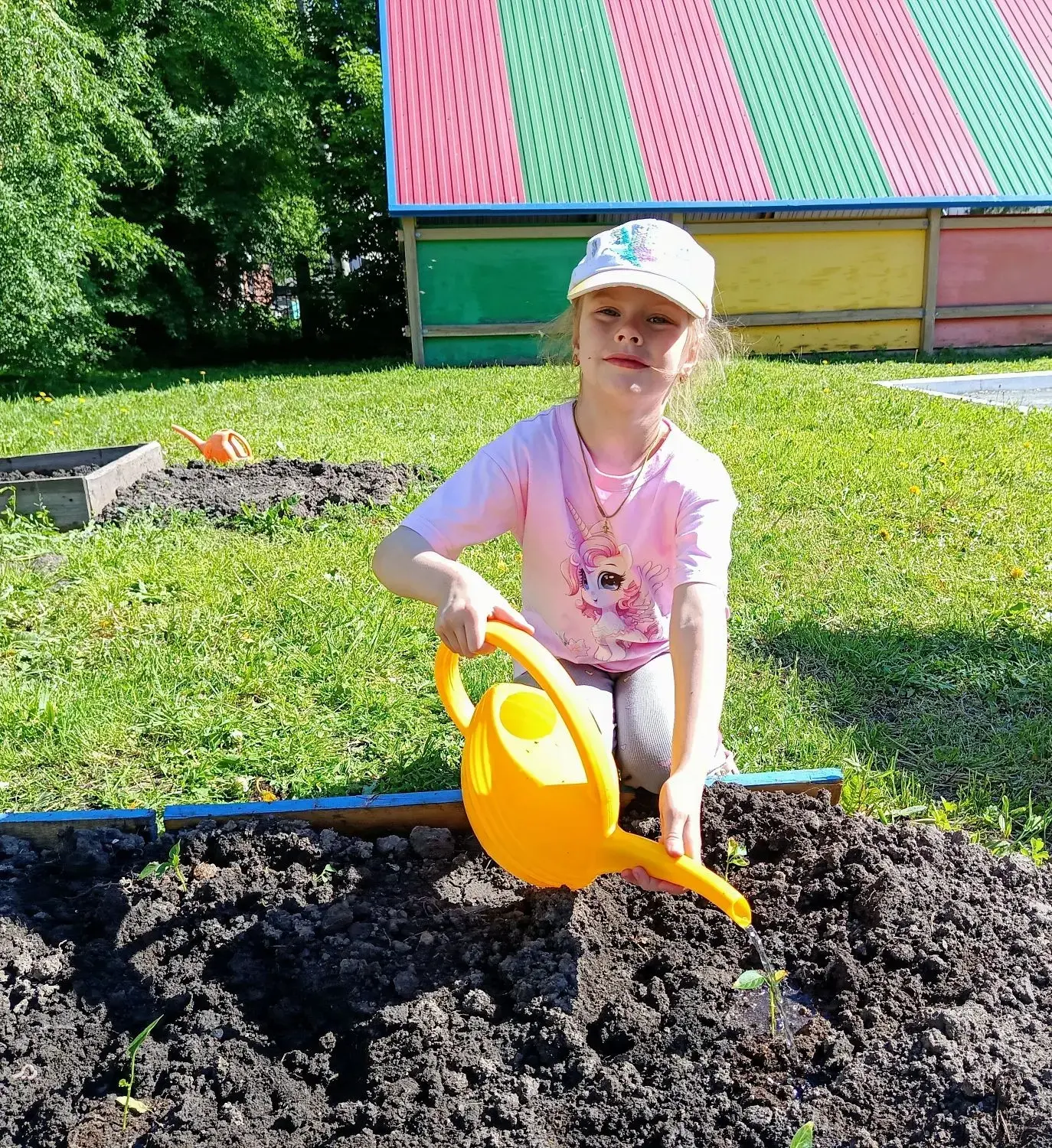 Юные агрономы: старшая группа открывает огородный сезон! 🌱

Воспитанники старшей группы заложили  м