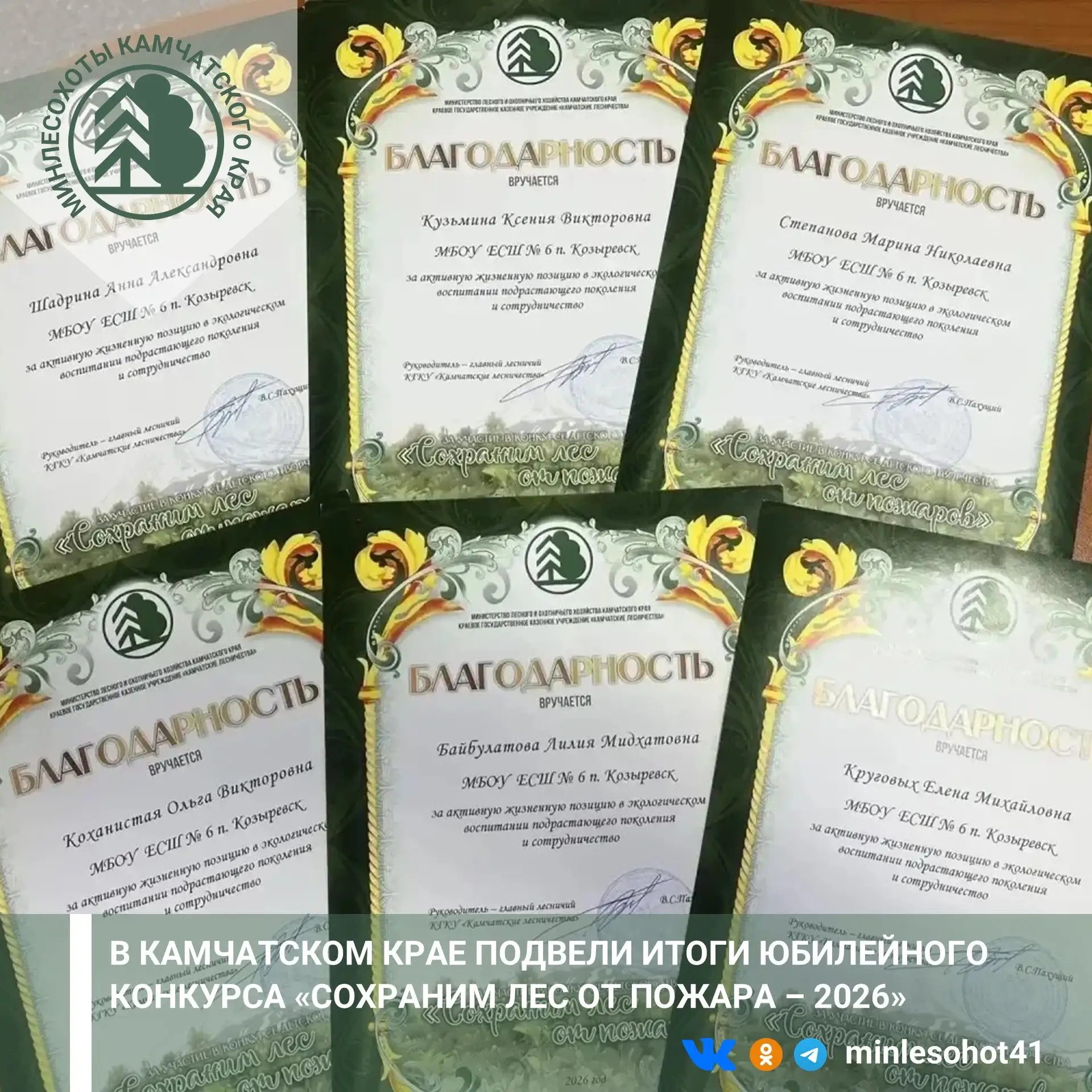 🎨 Творческий конкурс, посвящённый сохранению лесов и профилактике лесных пожаров, проводится в реги