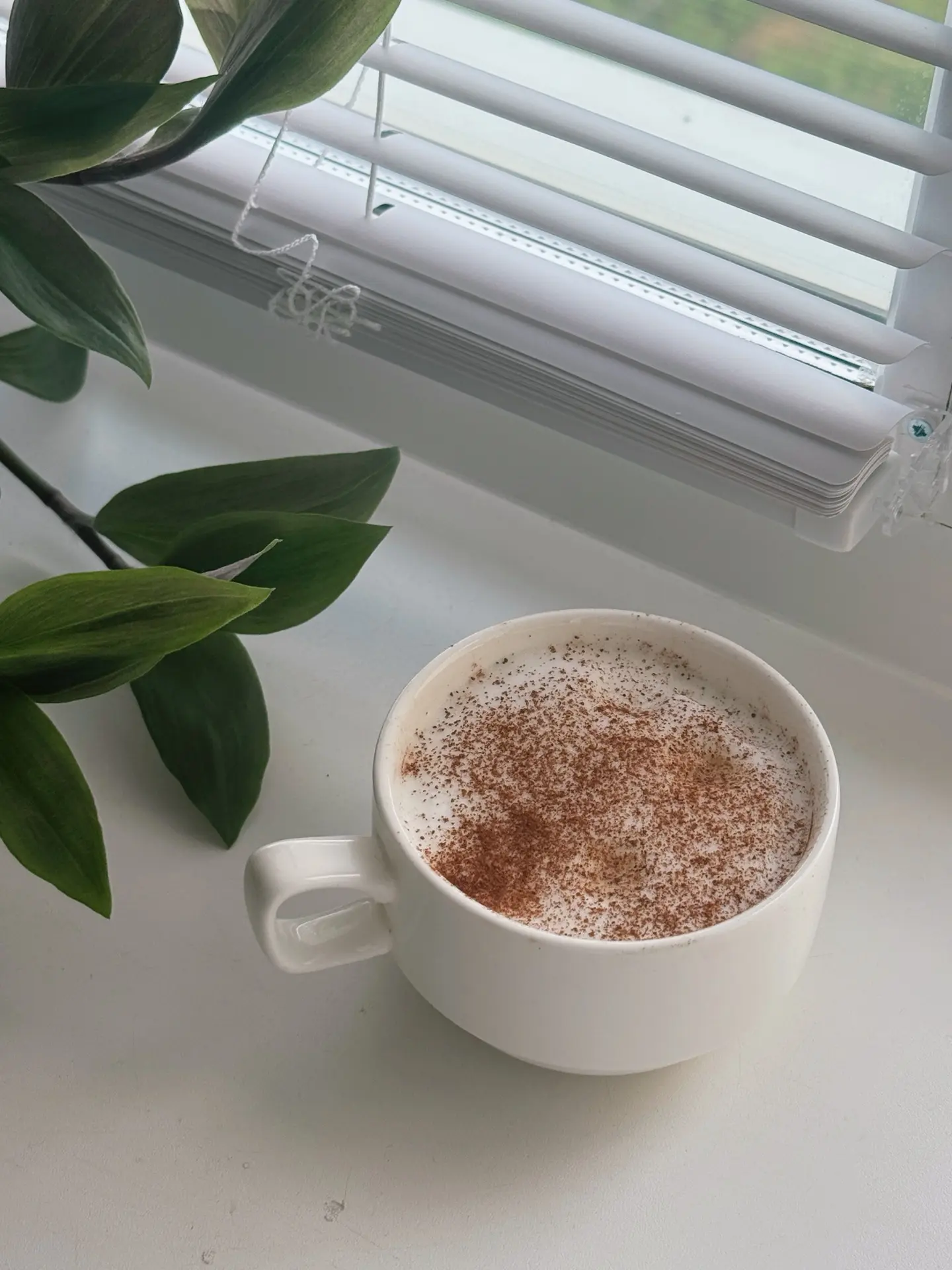 Ну что за четверг без кофе с корицей? Обогащаемся ✨☕️🪴
