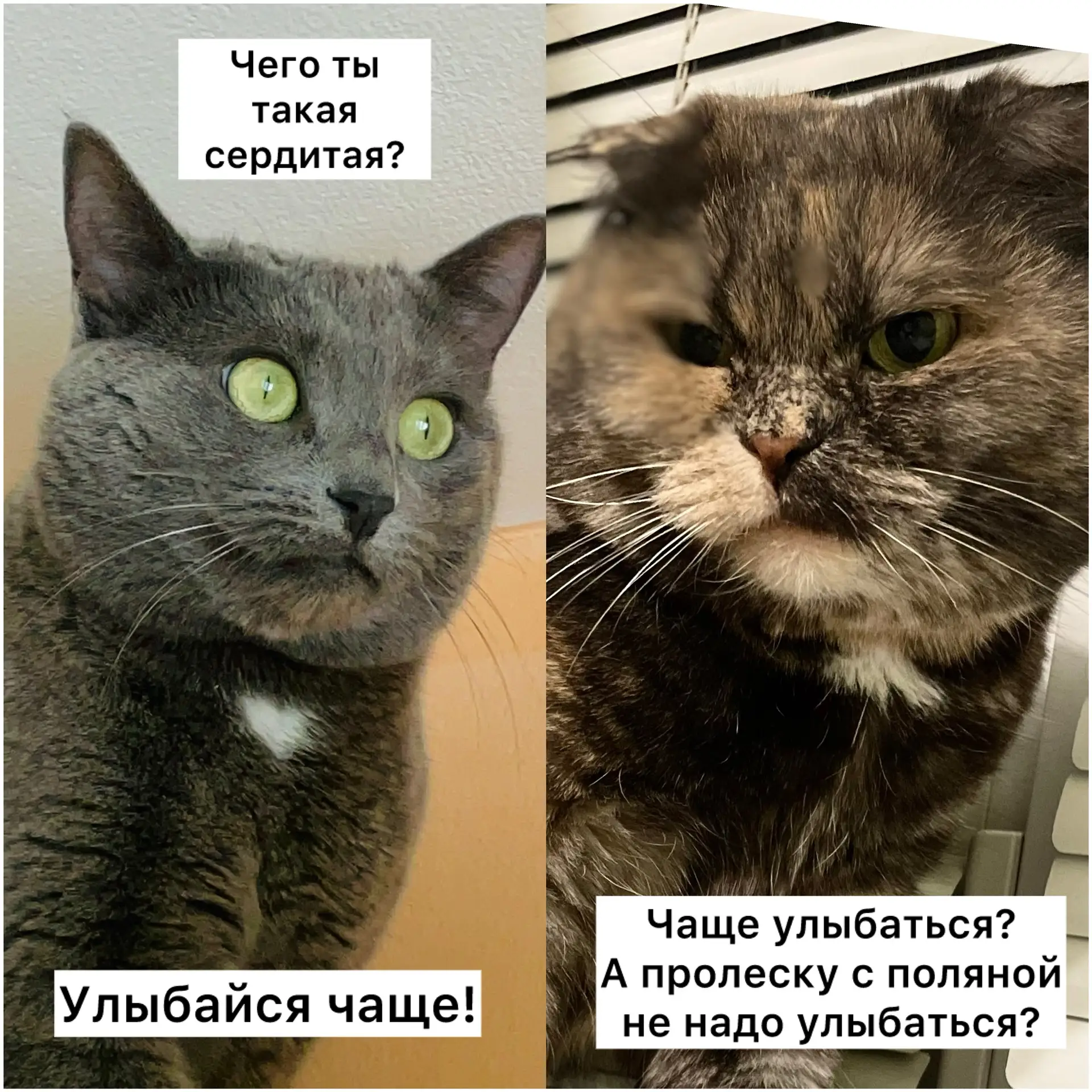 А вы стараетесь улыбаться чаще?