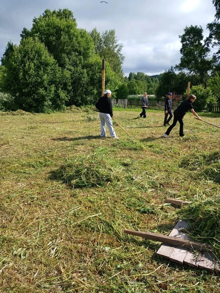 🤗Дерзай и открывай: хроники четырнадцатого дня
🌞Утро ворвалось в «Родничок» бодрым маршем зарядки,