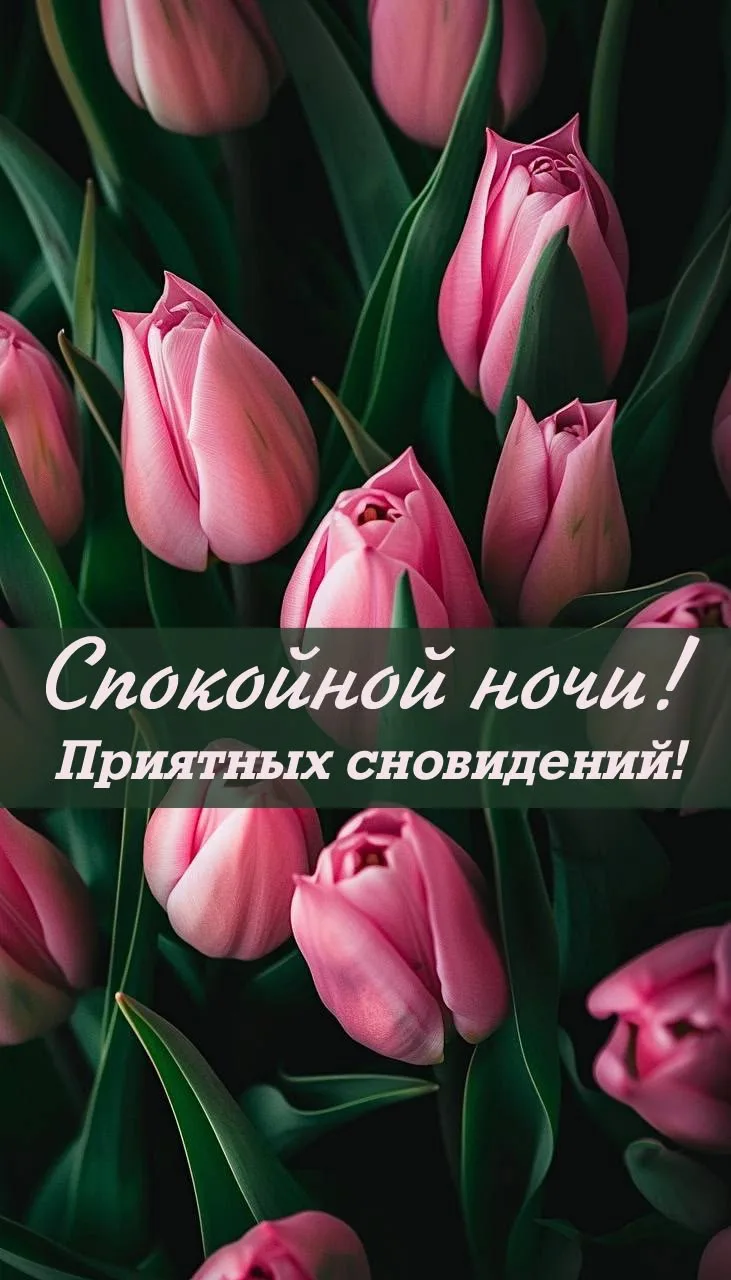 #спокойнойночи