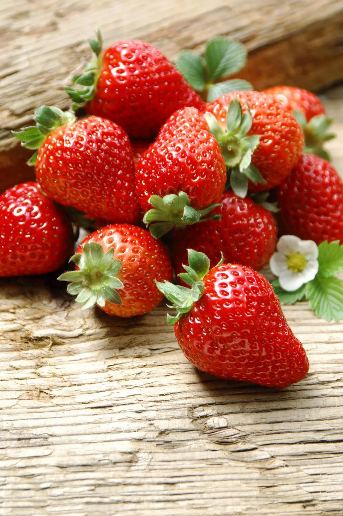 Ставь Лайк ❤️ , если уже ел клубнику 🍓 этим летом ;)

👉 Читайте официальный канал Белгорода в MAX