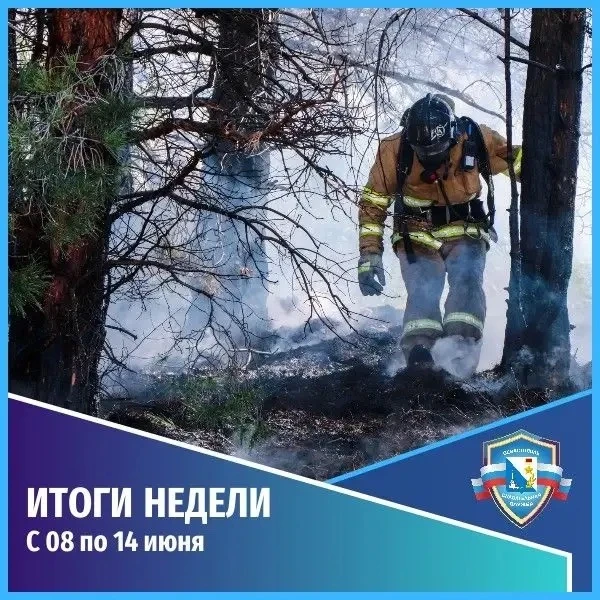 Общественная безопасность. 
События недели с 8 июня по  14 июня 

В Единую дежурно-диспетчерскую слу