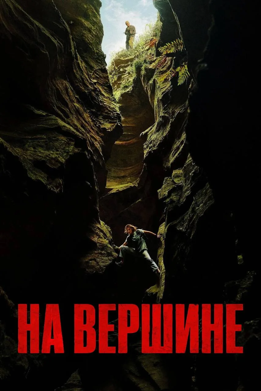 Интересный фильм посмотрели, а поделиться забыла..

Называется «На вершине». И мне даже немного обид