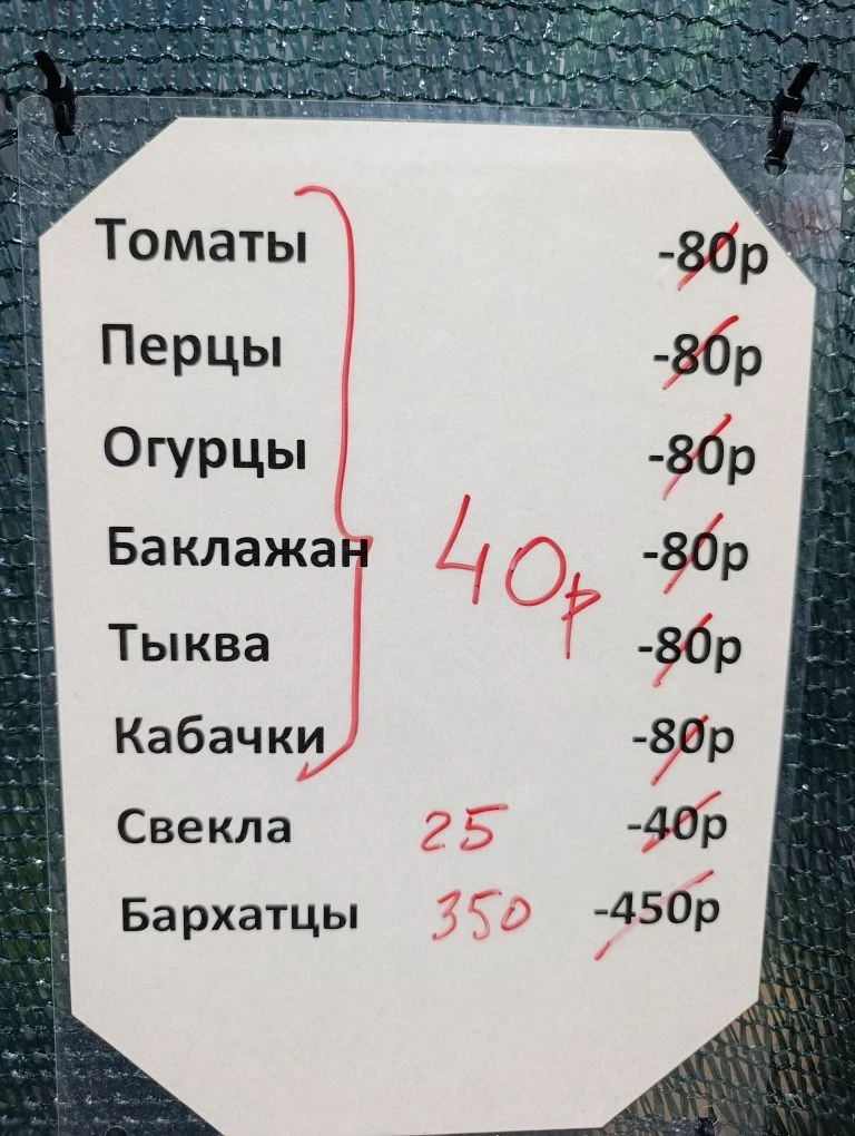 НАЧАЛОСЬ