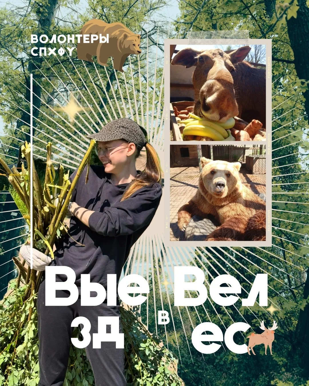 🐾 Выезд в «ВЕЛЕС»: как мы провели выходные с пользой для хвостатых и рогатых!

Друзья, на прошлой н