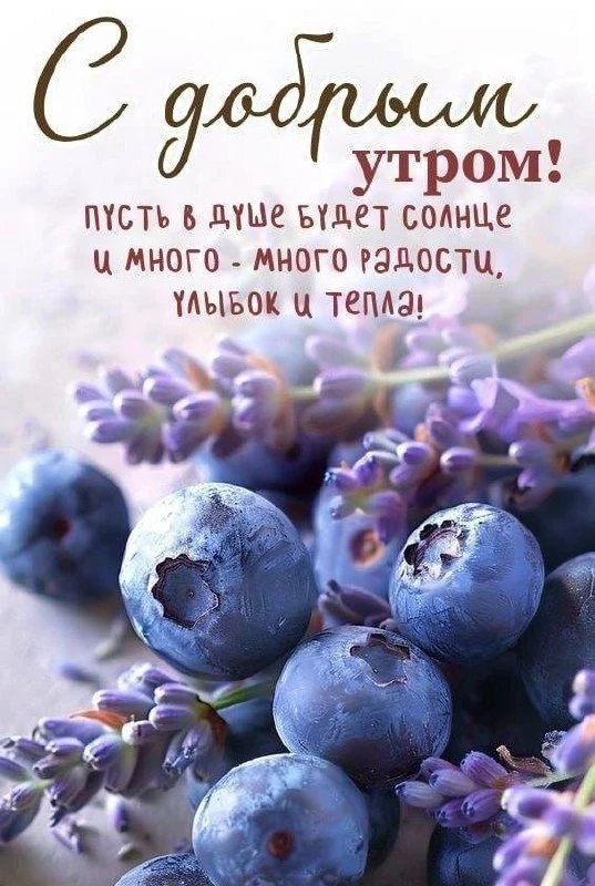 📲 Оформите заказ онлайн по номеру +7(904) 879-65-58