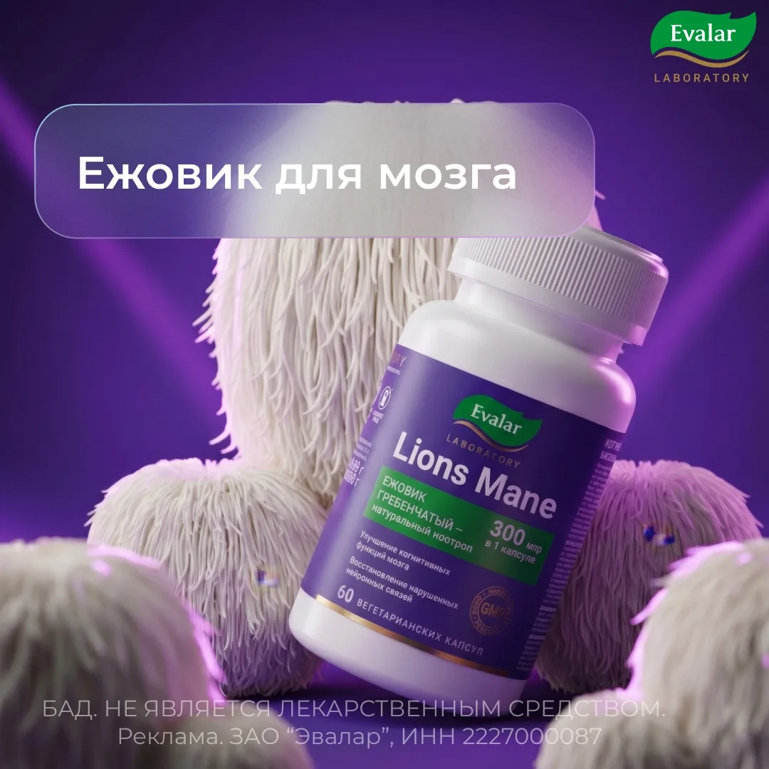Постоянно отвлекаетесь и чувствуете, что мозг работает не на полную?

Современный ритм жизни требует