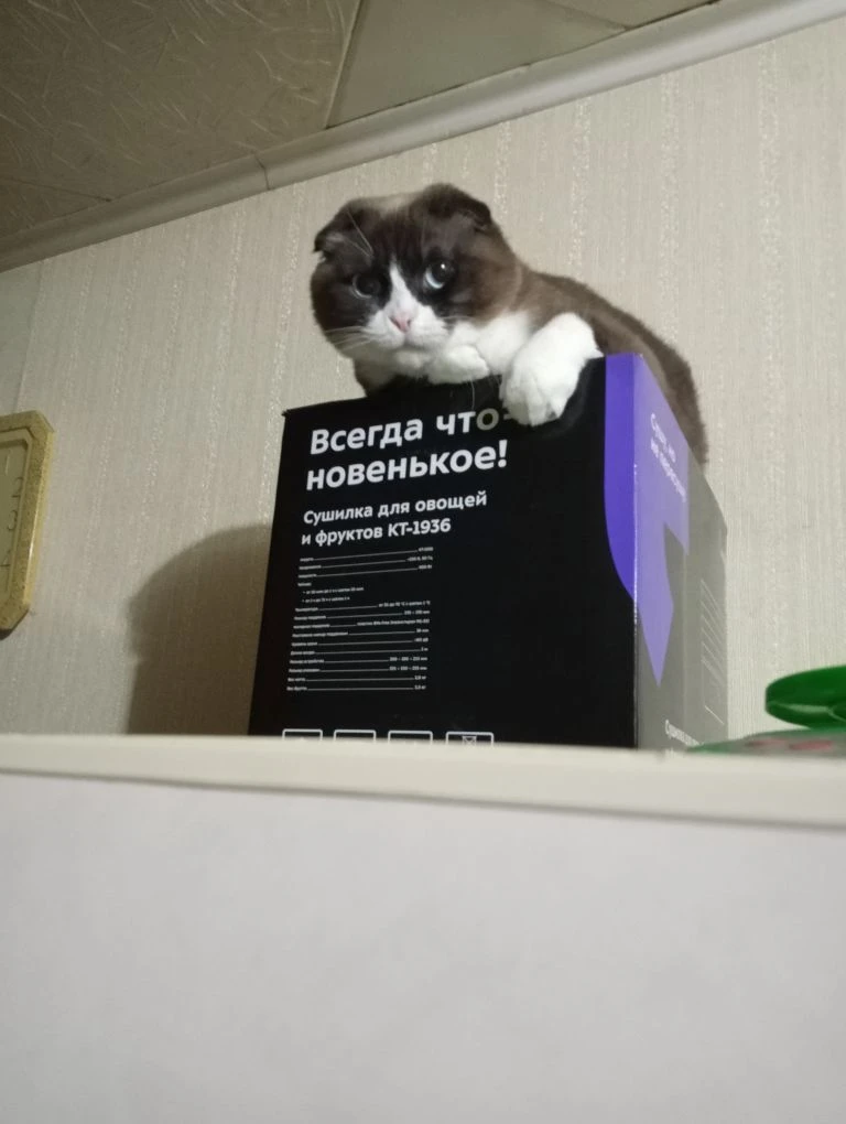 Почти шкаф, холодильник 🤗🤣