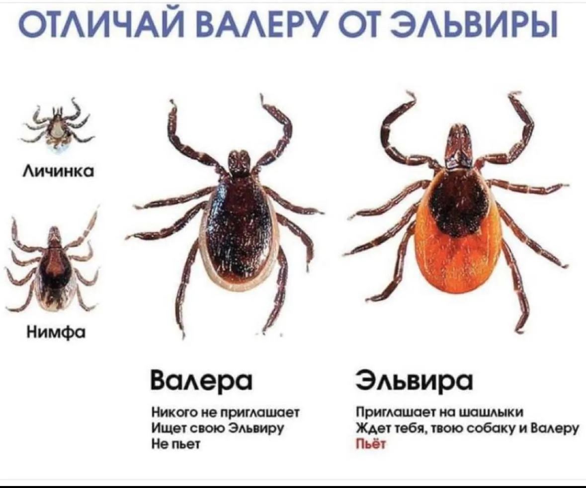 В День России, когда наши сердца переполняются любовью к родным просторам,а душа требует единения с 