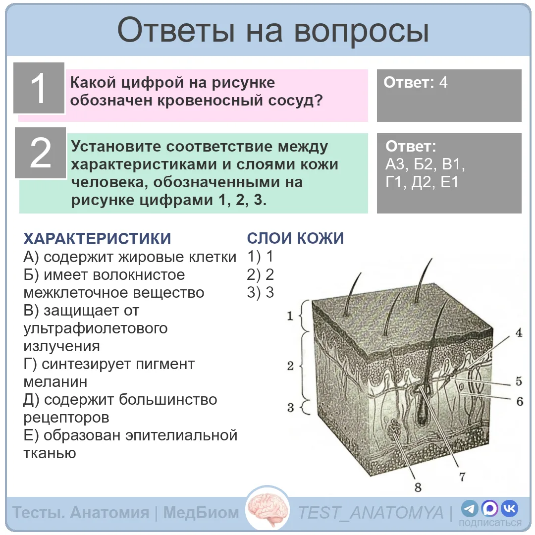 ⬆️ Ответы на вопросы