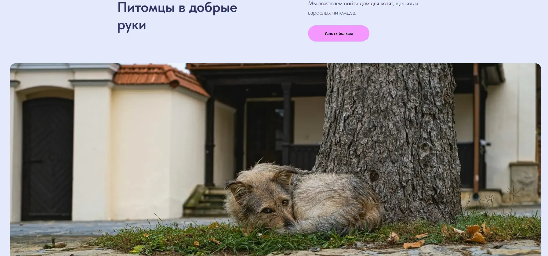 Обратите внимание, это ссылка на страницу с нашего офицеального сайта. 

http://vetdzhankoi.ru/page4