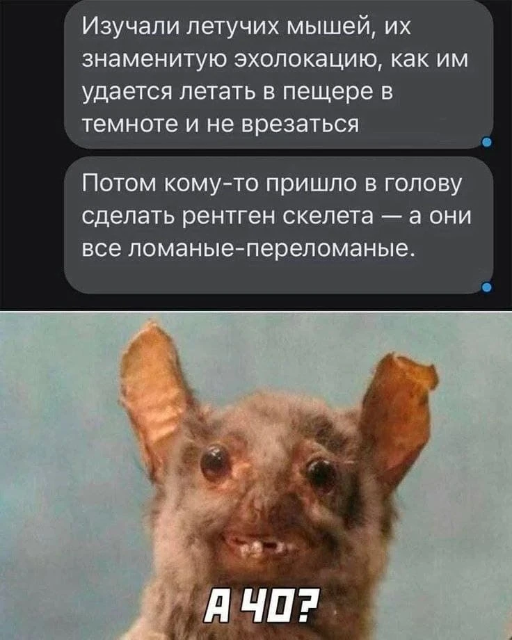 📣 И снова про шевроны)

Про наш шеврон

Пост будет юмористический – как раз для вечера пятницы.

❓С
