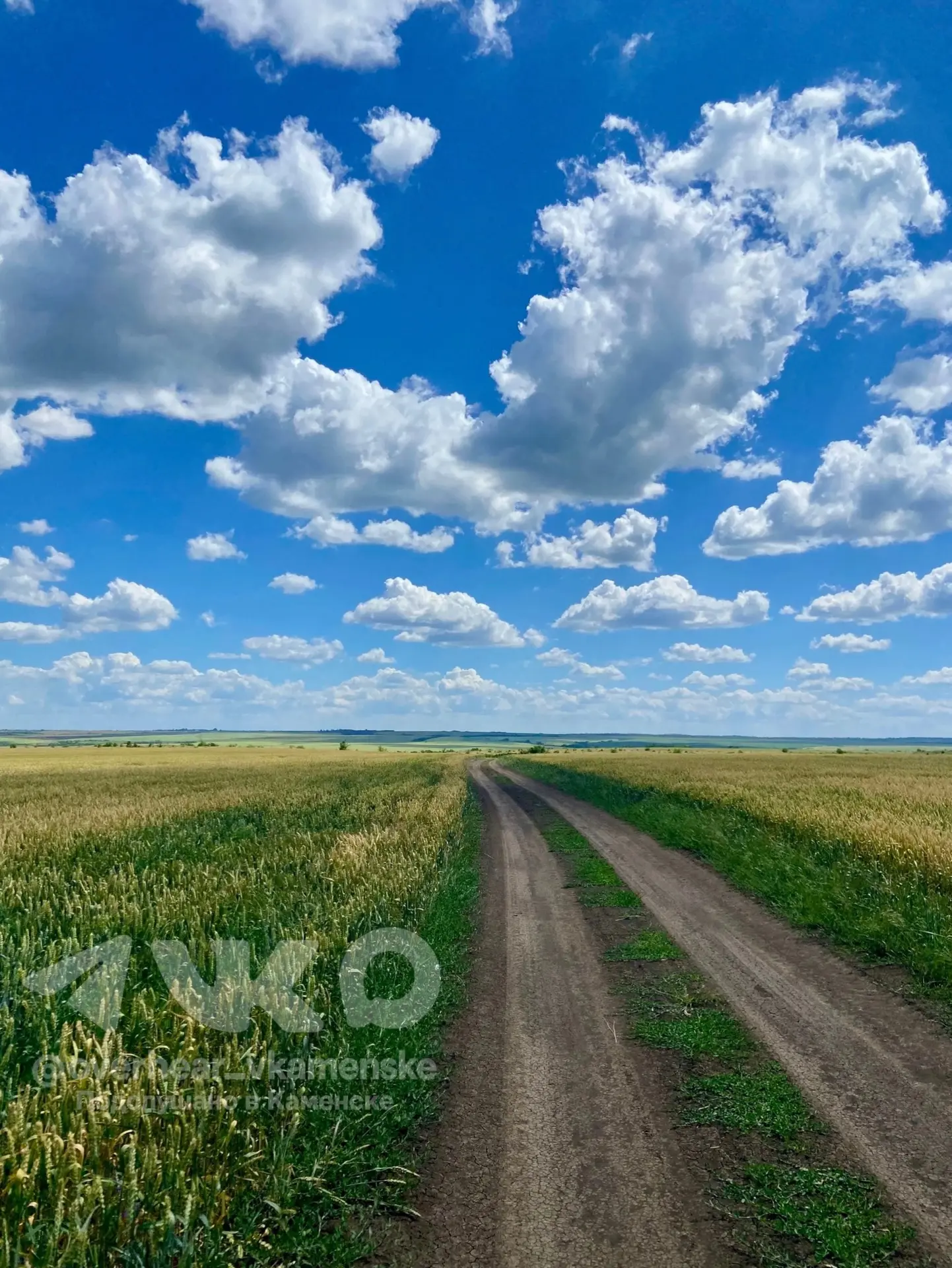 🌾 Среди облаков... — фото прислал подписчик ПвК Иван Теплов.