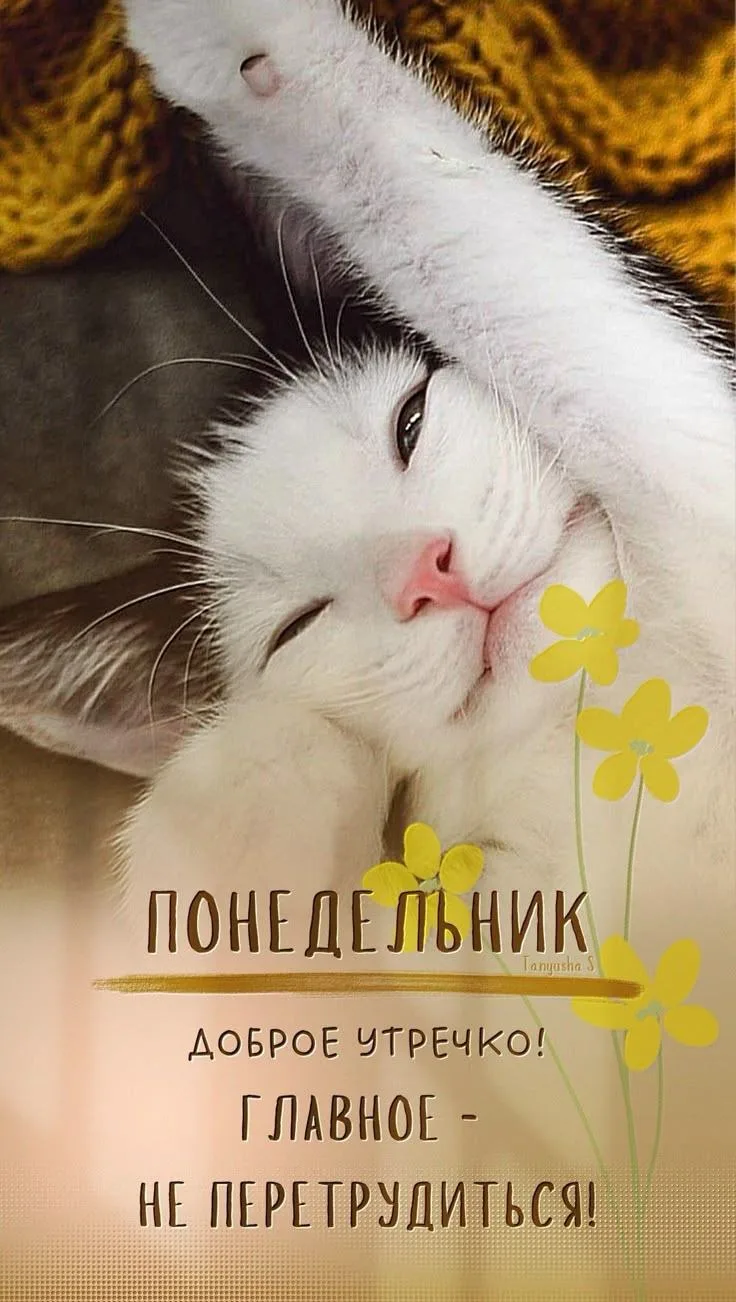 Самого доброго понедельника!