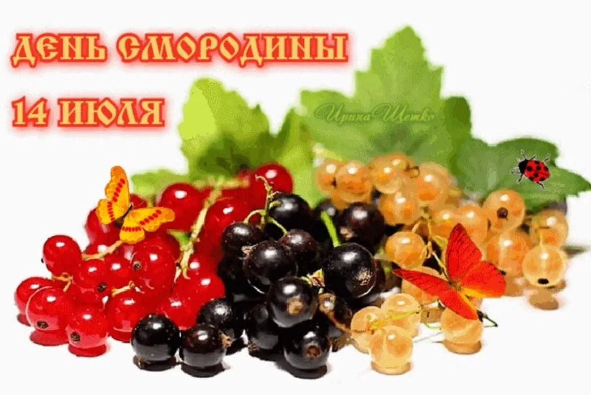 🍇 14 июля — День смородины! 🍇
🗓️Этот неофициальный, но очень уютный праздник посвящён одной из са