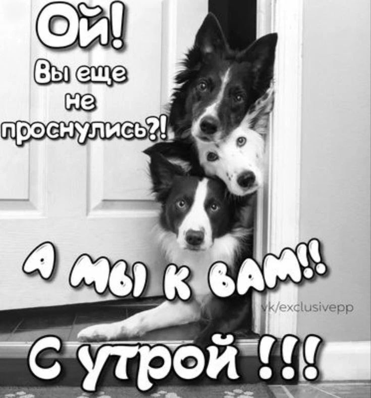 😍

🥰 Оставляйте реакции, если понравилась открытка и делитесь с близкими ❤️

🎁 Поздравления и отк