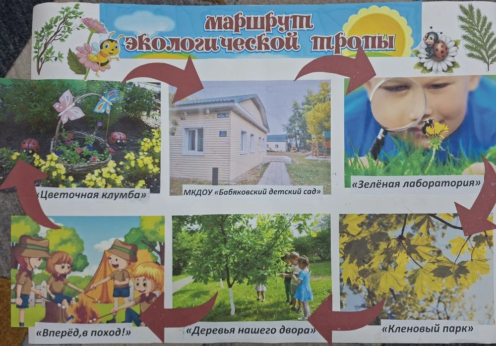 Экологическое воспитание – важная часть работы педагога. Территория ДОО предоставляет для этого боль