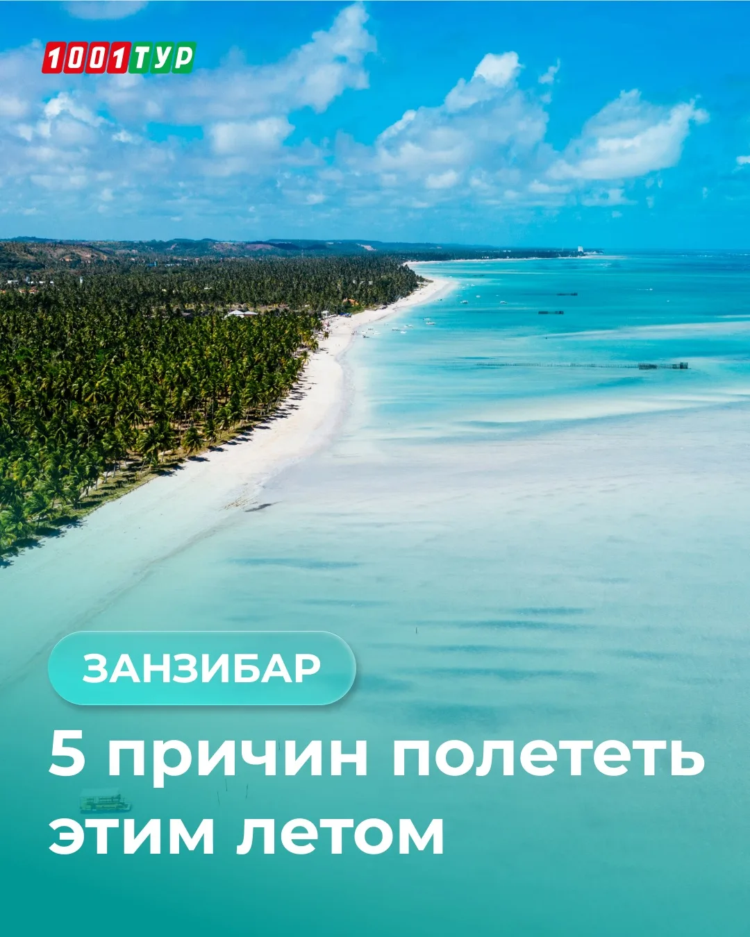 🦒Занзибар: океан, сафари и Африка в одном маршруте 

Если есть сомнения насчёт Занзибара — в карточ