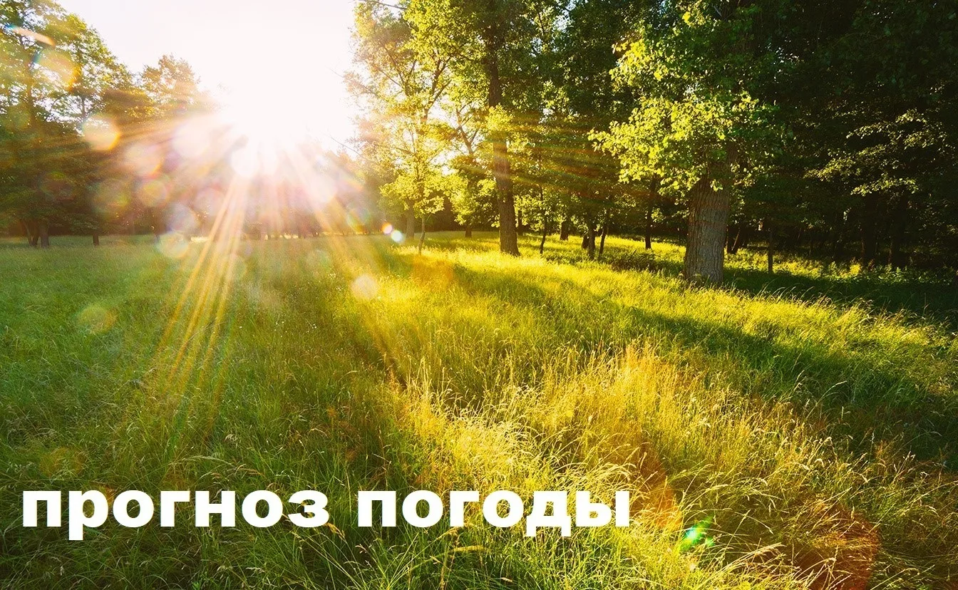 21 июня: переменная облачность, местами кратковременный дождь, возможна гроза. Ветер северный 7-12 м