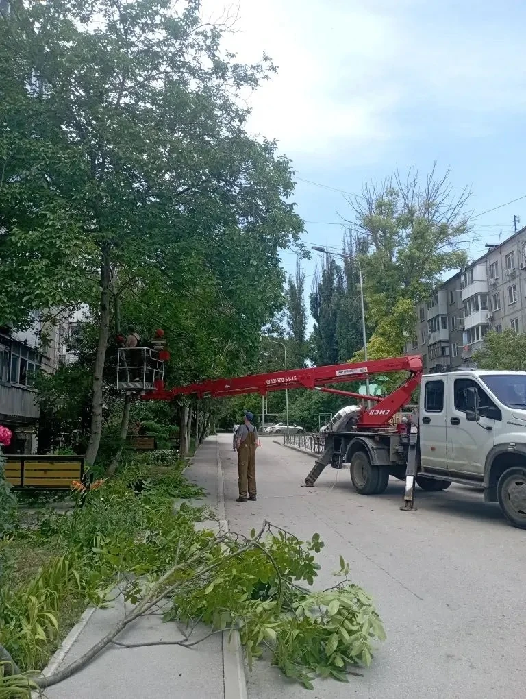🌳 Санитарная обрезка деревьев

Сообщаем, что по адресам:
— ул. Щорса, 7;
— ул. Кирова, 43
завершена