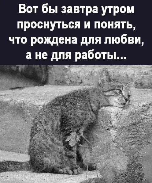 👉 Приколыч / переслать / подписаться