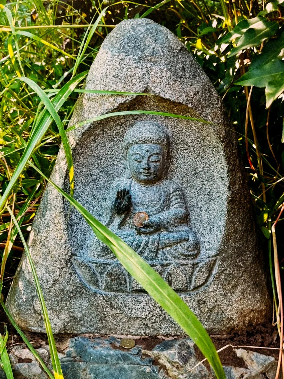 🎋Пробуждение ..🪨☀️

«Пробуждение — это 
искусство быть здесь 
и сейчас.» 🥀🌺📍

🎎Доброе утро おはよ