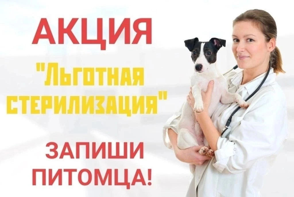 Уважаемые жители р.п. Башмаково и Башмаковского района! 
На базе Башмаковской ветеринарной станции  