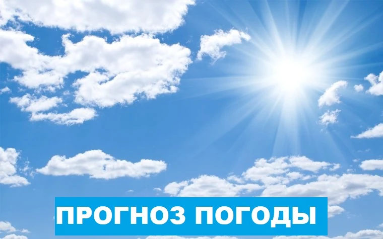 20 июня: облачная с прояснениями погода, местами кратковременный дождь, возможна гроза. Ветер северо
