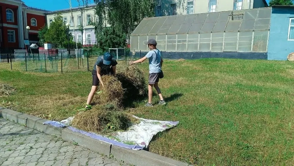 ✨Экологический отряд ГБОУ «Корочанская школа интернат» - продолжает свою важную волонтерскую деятель