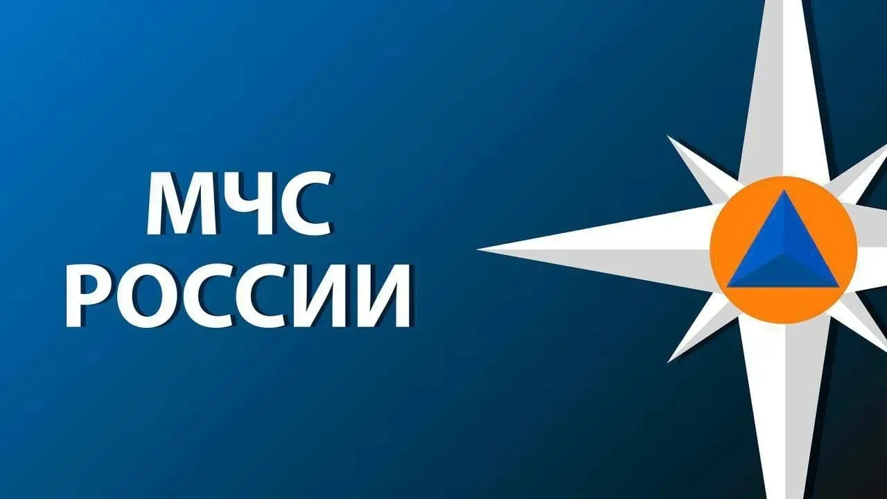 #СводкаМЧС

За сутки пожарно-спасательными подразделениями Рязанской области ликвидировано 5 пожаров