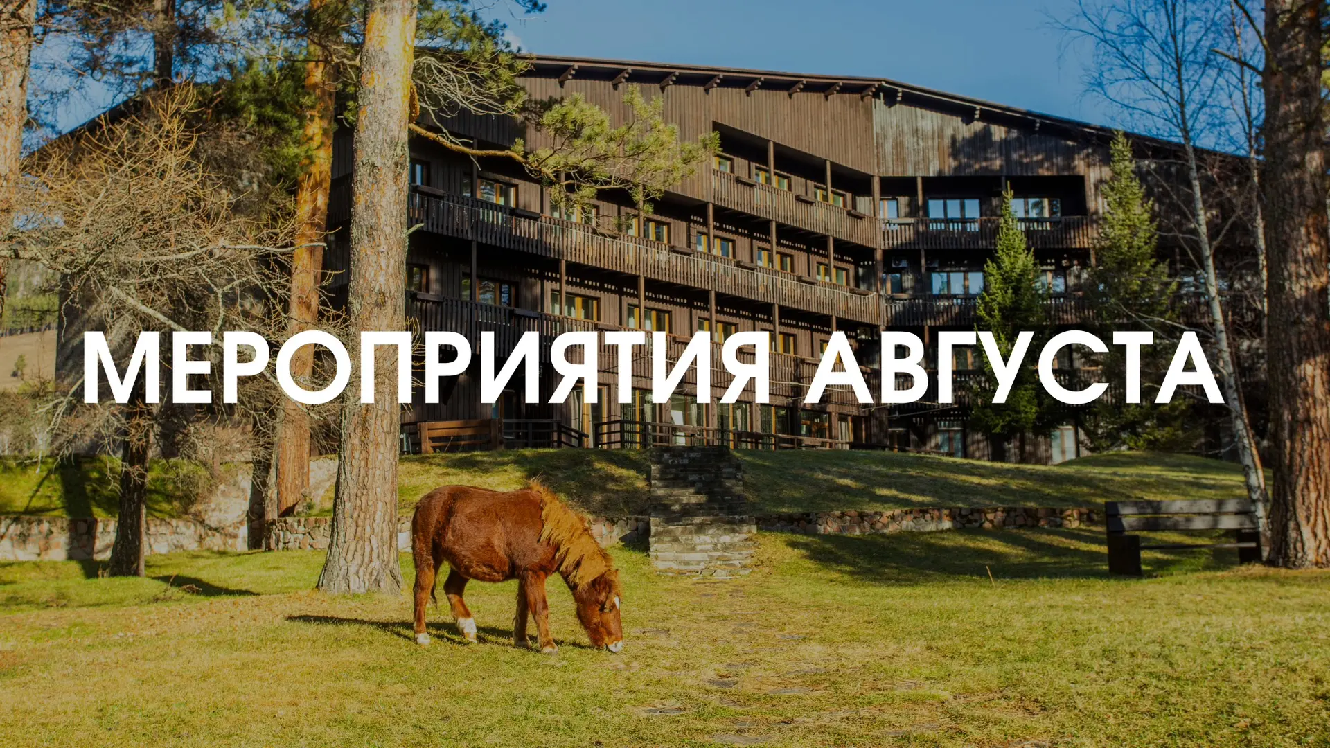 🌿 Лето продолжается и впереди самые красивые вечера августа.

Делимся афишей событий месяца.

👉🏻 