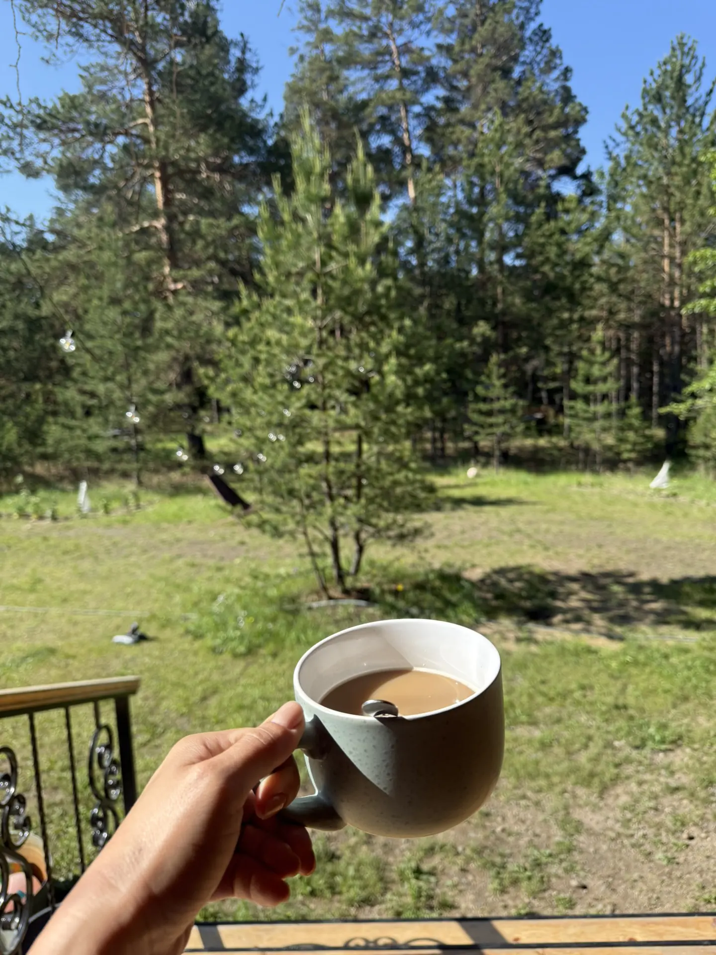 По утрам выхожу поздороваться с кустами 🌱 И вам доброе и замечательное утро, милые читатели!