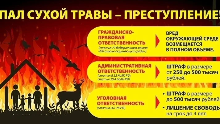 📢Весенний пал травы – это опасно! 
 
❗️Уважаемые жители и гости Кемского муниципального округа! 
 
