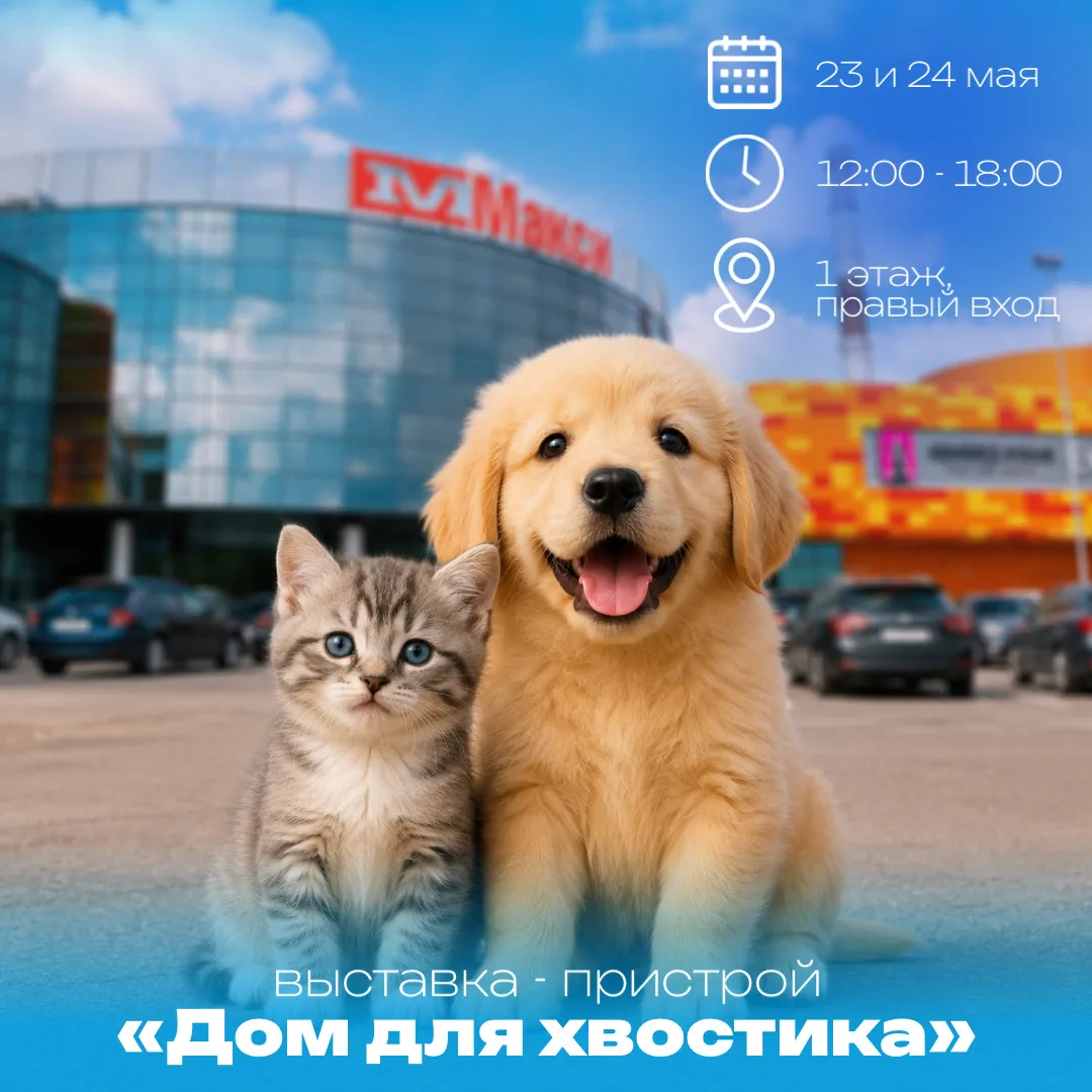 «Дом для хвостика — выставка-пристрой» вновь пройдет в ТРЦ «Макси»🐱

23 и 24 мая у каждого из вас б