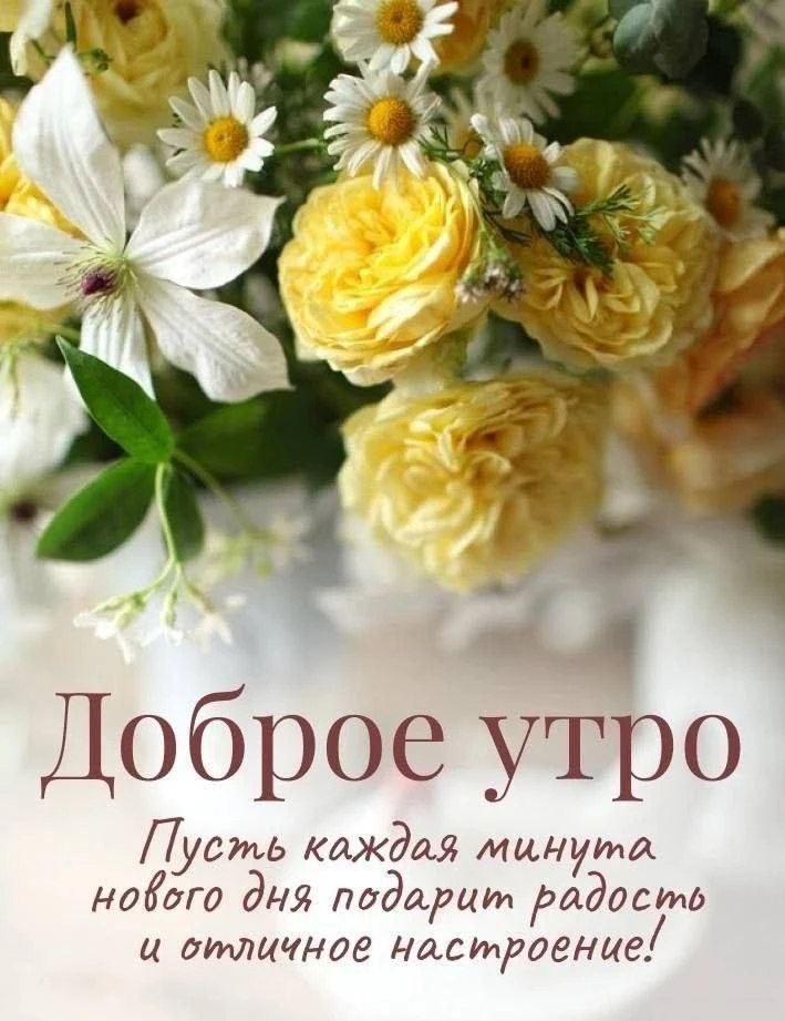 ☀ Хорошего дня!