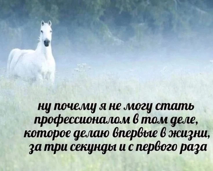ШЕФ! ВСЁ ПРОПАЛО!

Я устала от прокрастинации, исследований и серьезных психологических текстов. Объ