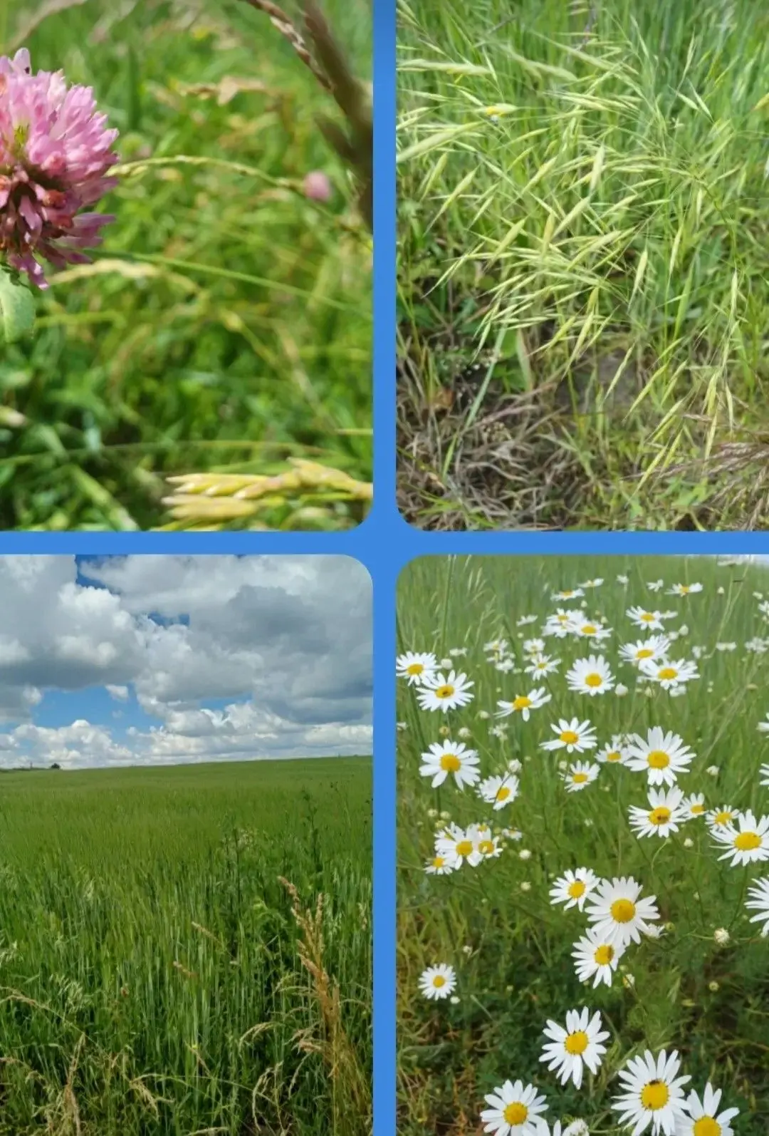 🌼 Лето продолжается! С Днём семьи, любви и верности!
Лето продолжается! Самая прекрасная пора, кото