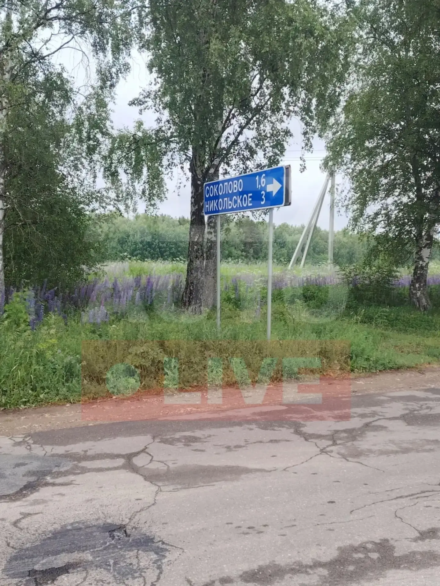 Какой же беспорядок и антисанитария, что происходит с вывозом мусора в Александровском округе?

От ч