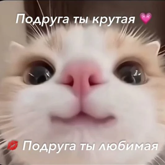 *ты знаешь, кому отправить <З