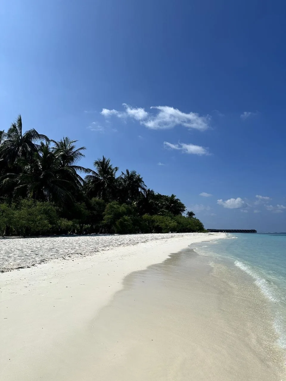 📍Мальдивы

MEERU ISLAND RESORT 4⭐️

Один из самых популярных отелей на Мальдивах !🇲🇻

✈️вылетаем 