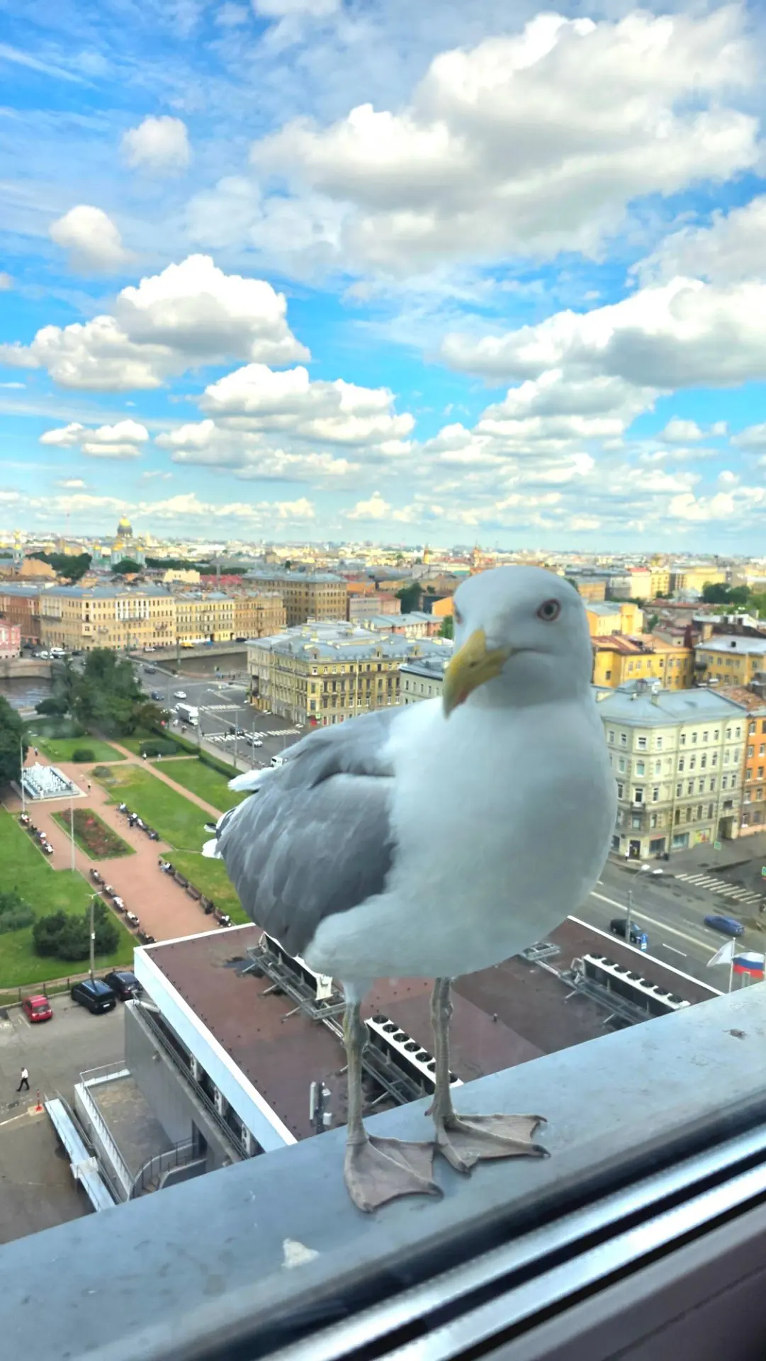 К НАМ В ГОСТИ НА 14-Й ЭТАЖ ПРИЛЕТЕЛ БАКЛАН🤣

ВОТ ТАК НАС ВСТРЕТИЛ ГОРОД САНКТ-ПЕТЕРБУРГ В ПЕРВЫЕ 15