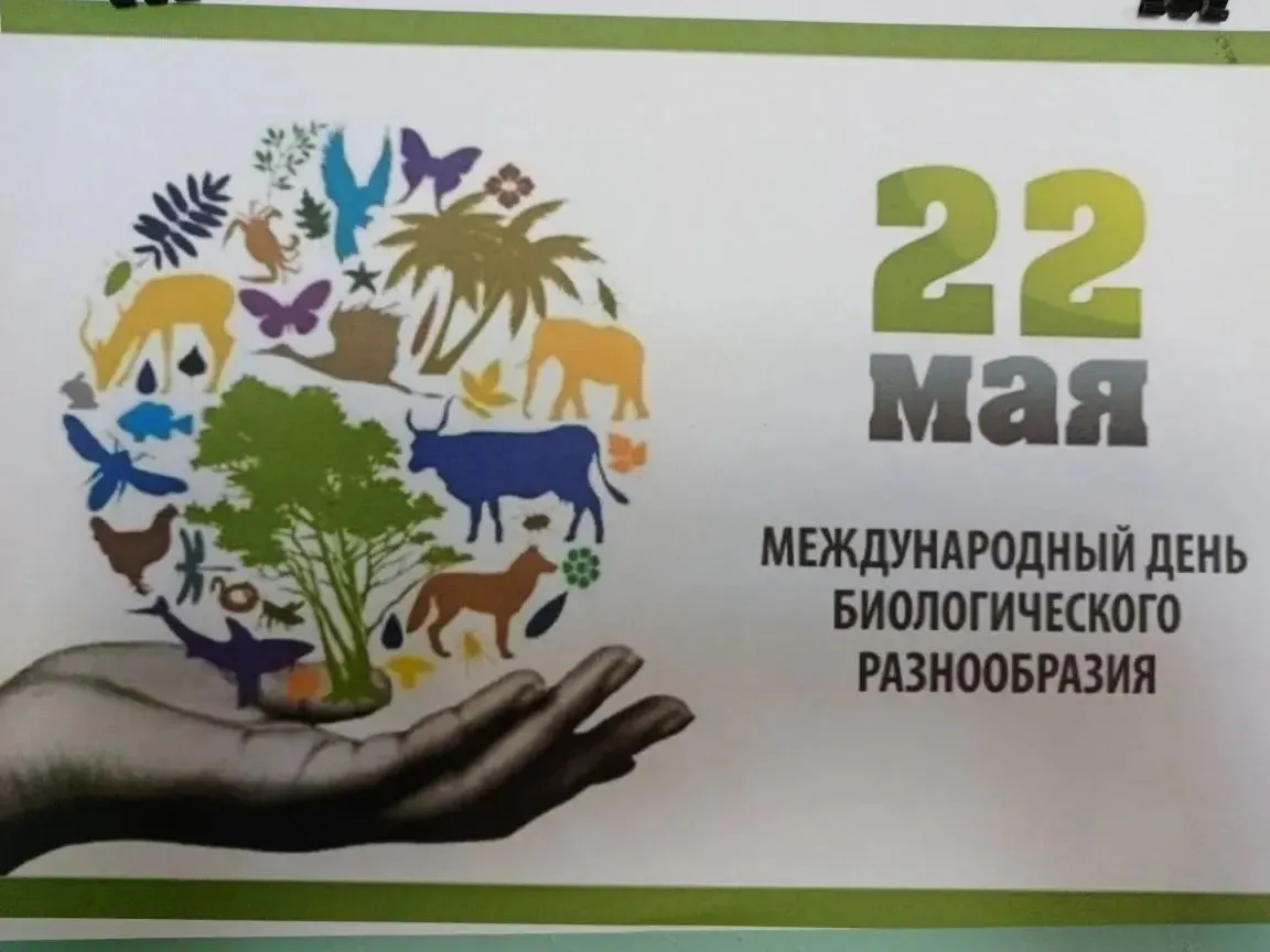 🎉 22 мая — Международный день биологического разнообразия!

Группа «Смешарики» отметила его познава