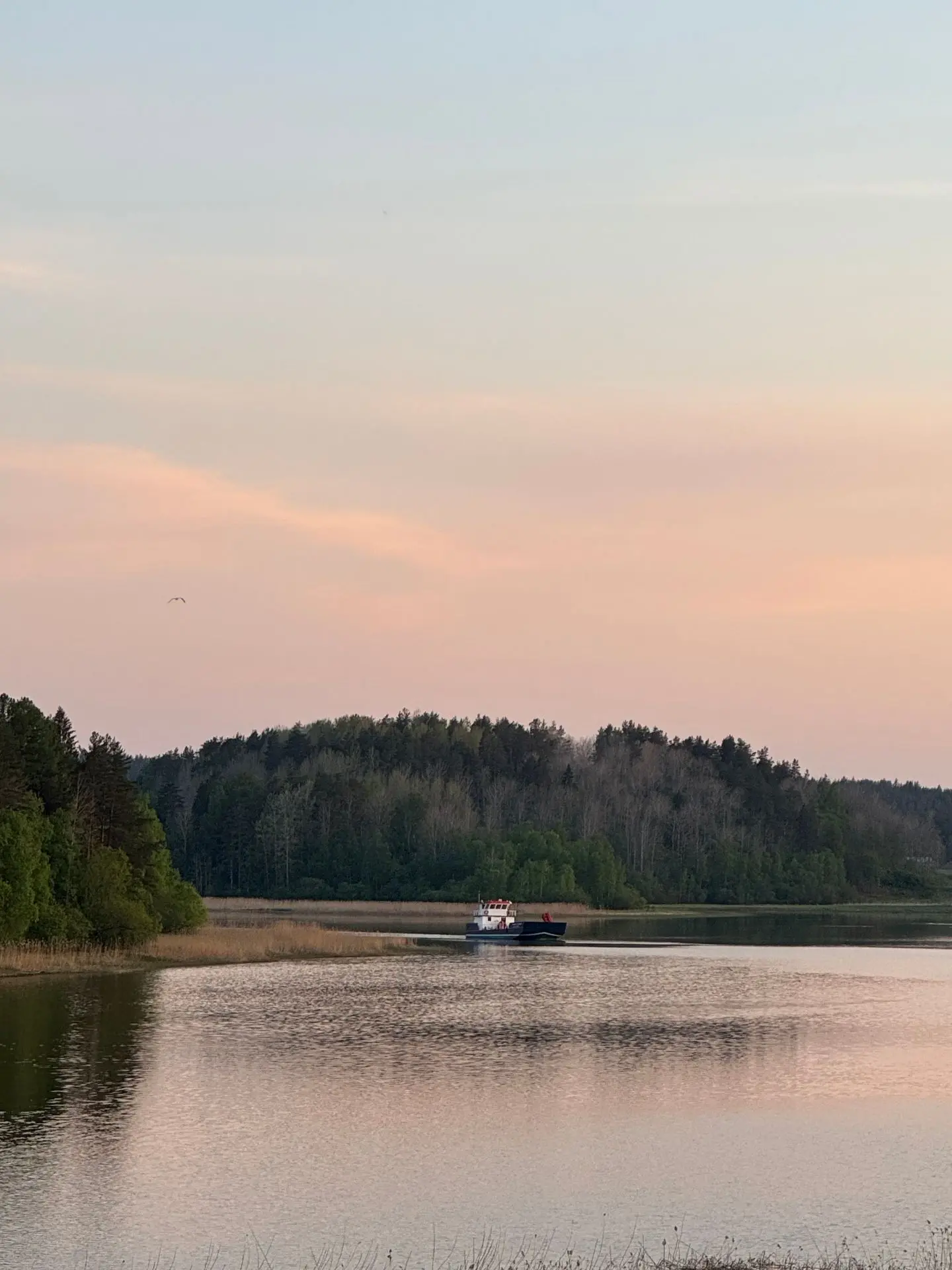 🌊 Друзья, свершилось!

20 мая в 21:30 мы встретили наше новое судно – «Габриэль Хартман»! 🛳

Это о